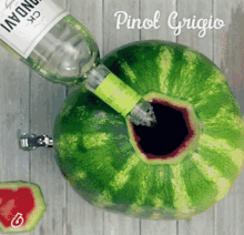 国外吃瓜ins,Instagram上的国际热点追踪