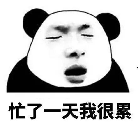 忙你吃瓜,一起吃瓜解闷