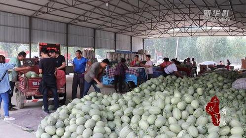 隆尧县城吃瓜,清凉一夏，品味生活