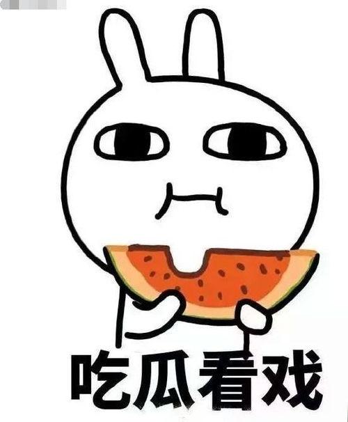 小火龙吃瓜下载,揭秘瓜界新宠儿的美食之旅