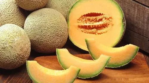 去瓜地吃哈密瓜经典句子