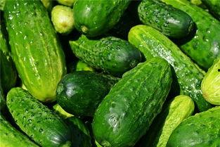 梦见吃沙瓜,探寻吃沙瓜的神秘寓意