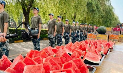 航空工程大学吃瓜,揭秘校园里的“吃瓜”风云