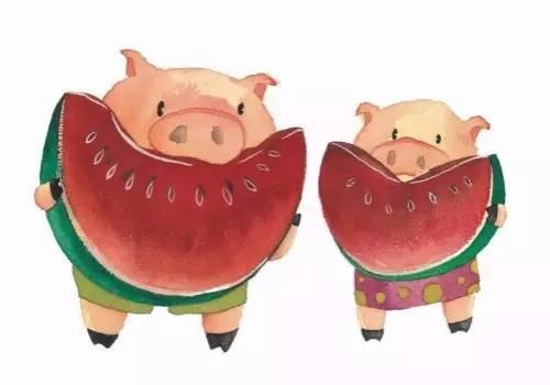 欢猪吃瓜吗,探寻猪界的娱乐生活