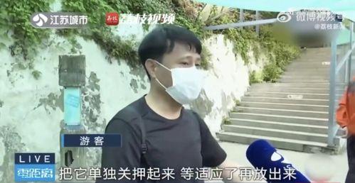 吃瓜网红兄弟,揭秘娱乐圈背后的那些事儿