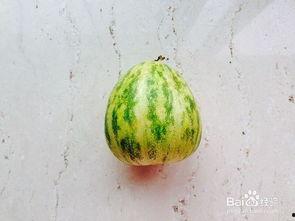 如何吃瓜最方便,解锁便捷美味新姿势