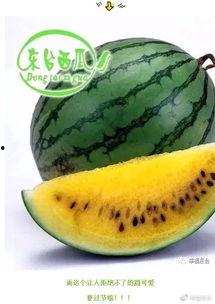 环球吃瓜君,揭秘娱乐圈幕后故事，带你领略明星真实生活