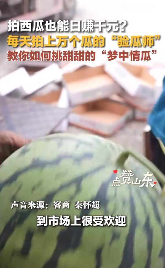 网友反映吃热瓜,网友热议吃瓜背后的故事与现象