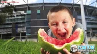 马景涛吃瓜表情包图片,笑料横生的瞬间捕捉