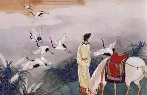 半马 吃瓜 诗,吃瓜诗中的欢乐与感悟