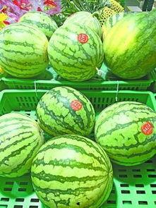 滕州满甜甜吃瓜,瓜界新宠，甜蜜来袭！  第2张