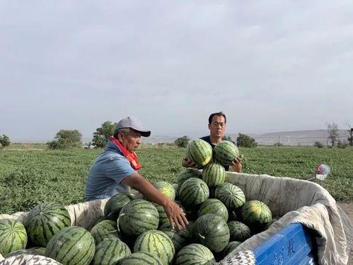 夫差吃瓜,揭秘古代帝王的生活情趣  第3张