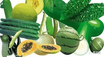 吃瓜变秋,一场美食与季节的奇妙之旅  第3张