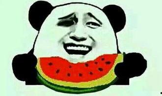 吃瓜的套路有哪些,轻松成为“瓜界高手”  第2张