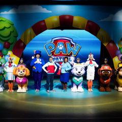 汪汪队吃瓜网,揭秘狗狗世界的趣味八卦  第2张