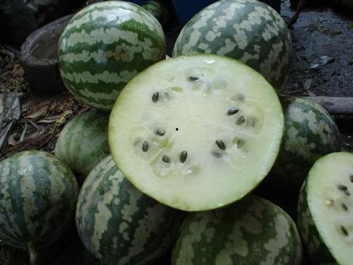 哺乳可以吃绿宝瓜吗,营养与安全的双重考量