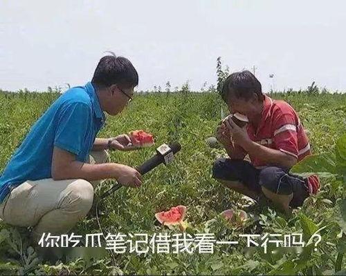 阿姨吃瓜搞笑,笑料百出引人捧腹