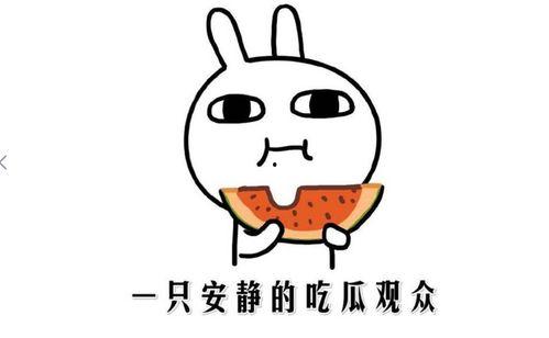 吃瓜有哪些意思,揭秘网络热词的多重含义