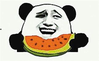 吃瓜有哪些意思,揭秘网络热词的多重含义  第3张