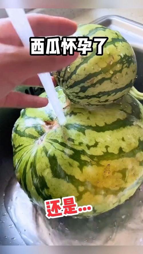 日本吃瓜搞笑视频,笑料百出，趣味横生  第3张