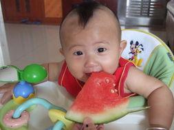 豆豆吃瓜,揭秘瓜果背后的趣味故事