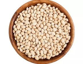 豆豆吃瓜,揭秘瓜果背后的趣味故事  第2张