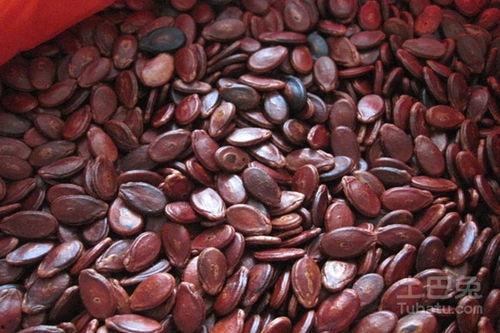 吃红瓜子的瓜,探寻传统美食的传承与创新  第2张