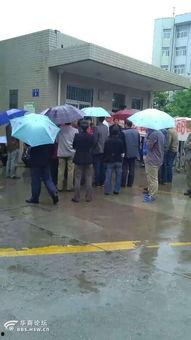 河堤路吃瓜  第2张