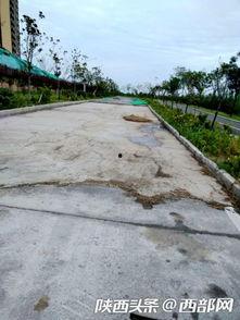 河堤路吃瓜  第3张