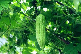 每日吃瓜171,揭秘娱乐圈最新热点事件 第3张 每日吃瓜171,揭秘娱乐圈最新热点事件 第3张