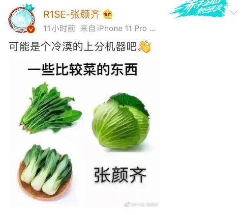 周姐的吃瓜,娱乐圈幕后真相曝光  第3张