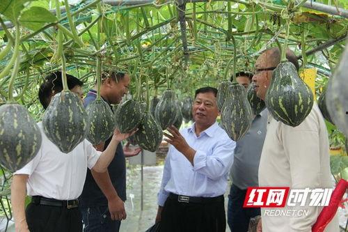 吃瓜群众研究所  第2张