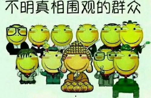 吃瓜群众1266,一场全民参与的娱乐盛宴  第3张