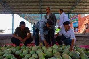 感恩吃瓜的群众,见证时代变迁的民间力量  第2张