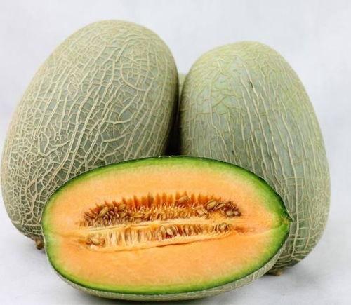 吃止疼药可以吃哈密瓜吗,安全食用的注意事项  第2张