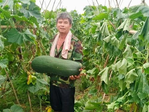 火爆吃瓜合集,盘点娱乐圈最热辣事件