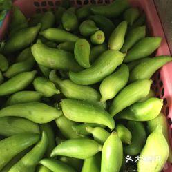 测评吃角瓜视频,口感与营养的双重享受