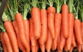 理想性吃瓜,吃瓜群众的趣味解读  第3张