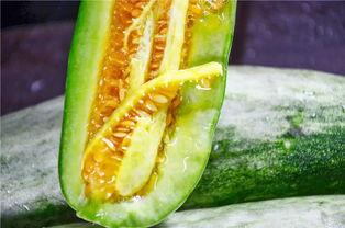 吃瓜里,揭秘吃瓜背后的趣味与真相 第2张 吃瓜里,揭秘吃瓜背后的趣味与真相 第2张