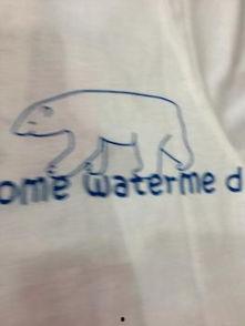 吃瓜小熊kpop,吃瓜小熊带你探秘K-pop世界