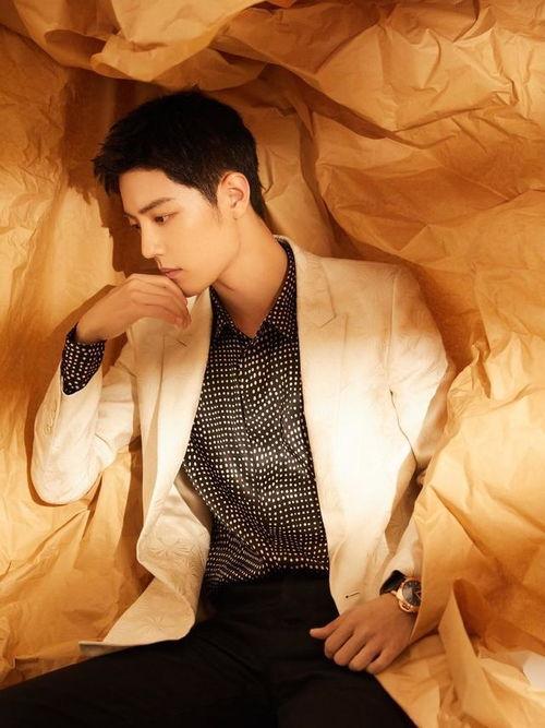 肖战吃粉丝的瓜,揭秘明星与粉丝间的甜蜜纠葛