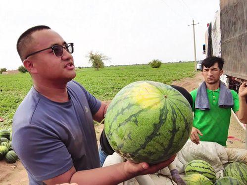 刘爱林吃瓜,揭秘娱乐圈幕后故事 第3张 刘爱林吃瓜,揭秘娱乐圈幕后故事 第3张