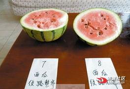 吃瓜网cn,揭秘娱乐圈幕后故事，带你领略明星真实生活  第2张