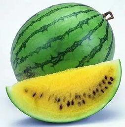 全网最惨吃瓜人,一场荒诞的围观之旅  第3张